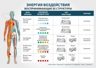 СКЭНАР-1-НТ (исполнение 01)  в Ступино купить Медицинский интернет магазин - denaskardio.ru 